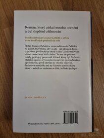 Pomocník - Kniha o Palánku - 2