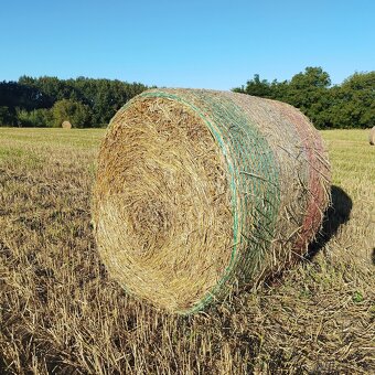 Prodám kulaté balíky pšeničné slámy - 2