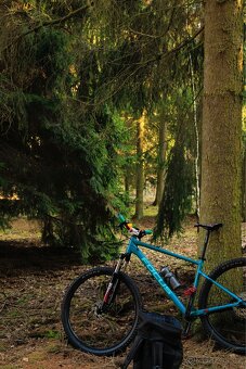 Focus Whistler 29 - 2