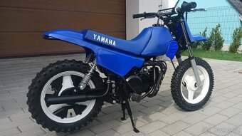 Yamaha PW50 - 2
