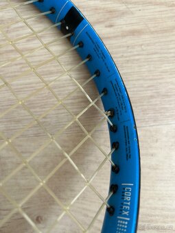 Dětská tenisová raketa Babolat PURE Drive 25 - 2