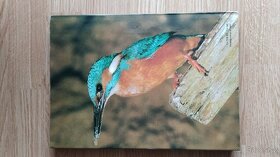 Kniha Seznámení u vody - 2