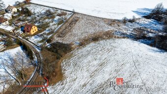 Prodej, pozemky/bydlení, 2832 m2, 29404 Obrubce, Mladá Boles - 2