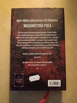 Černé léto - M. W. Craven - 2