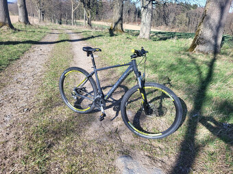 Leader Fox Arezo - 2