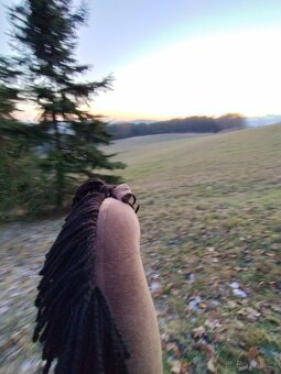 Hobby horse - 2