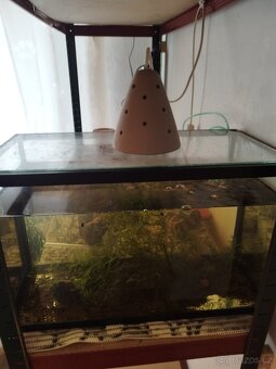 Akvarium - 2