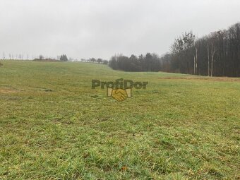 Pozemky určené pro komerční využití 2 000 m2 - 2