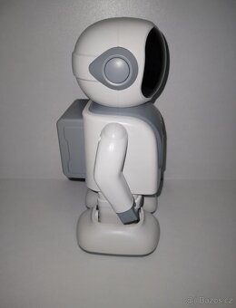 Program dancer Robert robot - 2