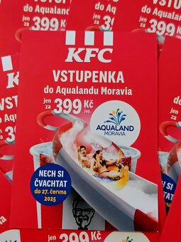 Celodenní vstupenka Aqualand Moravia Pasohlávky - 2