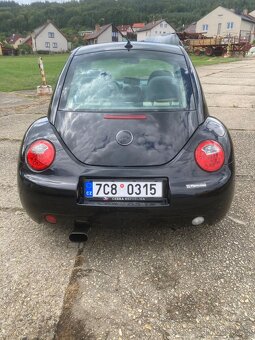 VW New Beetle - 2