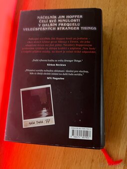 Temnota na okraji města - Stranger things - 2