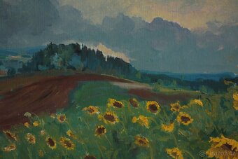 R.Procházka - Slunečnicové pole 73 - 2