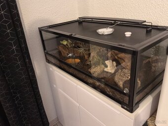 Terárium ReptiPlanet vybavené. - 2