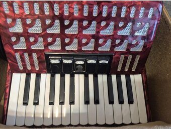 Harmonika akordeon delicia - 2