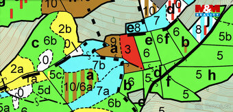 Prodej lesa, 5438 m², Lužná - 2