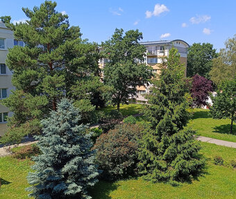Prodej bytu 3+kk 60 m² Hradec Králové, Markovická - 2