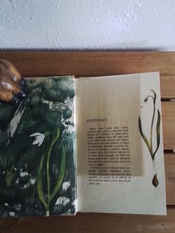 Až půjdeš po lukách,Mária Haštová r. 1967 - 2