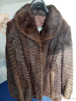 Kožích norek - 2
