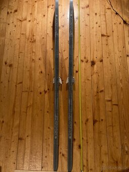 ARTIS  běžky 190cm - 2