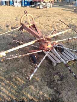 Shrnovač nesený - 3m - 2