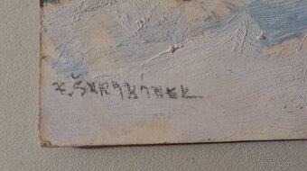 Obrázek František Škrabánek - 2