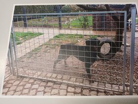 plotek z kari sítě - 2,5m x 4,5m - vč. branky - 2