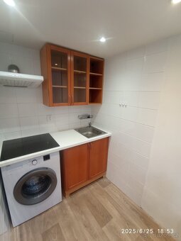 BEZ PROVIZE RK. Pronajmu atelier 1kk se zahrádkou Vršovice - 2