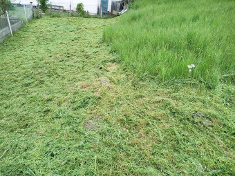 Stavební pozemek v čisté přírodě 828 m² v Dlouhomilově - 2