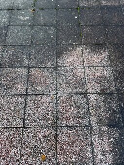 Dlažba 30x30 zdarma - 2