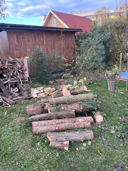 palivové dřevo - 2