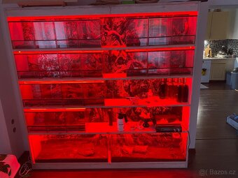 Terarijní regál s červeným LED osvětlením – pavouci, hadi, š - 2