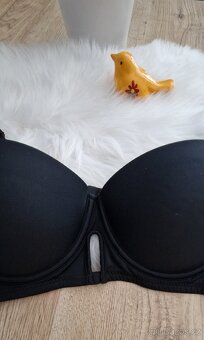 Nová podprsenka - 2