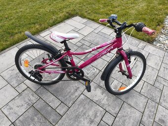 Dětské kolo Superior paint 20 - 2