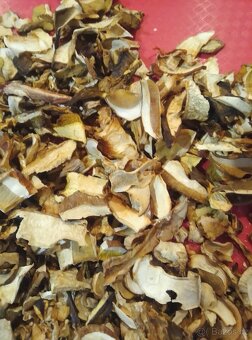 SUŠENÉ HOUBY - 2