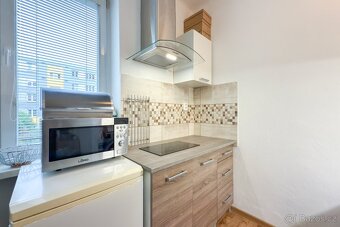 Pronájem byty 1+kk, 22 m2 - Ústí nad Labem - Bukov - 2