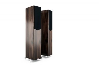Acoustic Energy AE509 Walnut - STUDIO - 2
