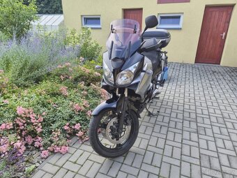 Suzuki DL -1000 - 2