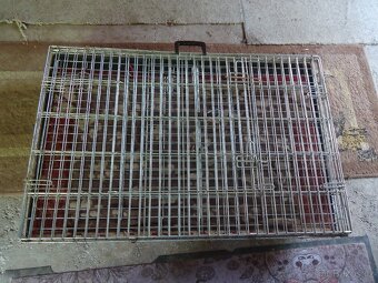 Klec pro psi výstavní-transportní - 2