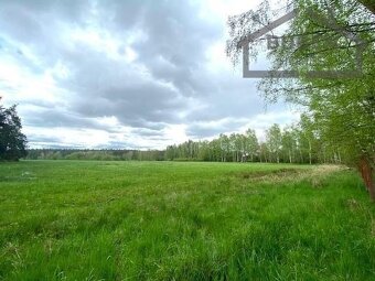 Zemědělská půda o celkové výměře 10 813 m2 - Nová Ves u Plzn - 2