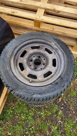 Barum polaris 5 175/65 R14 - 2