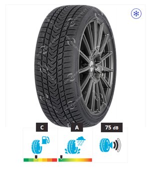 Zimní PNEU > GRIPMAX R20 (285/40 & 255/45) - 2