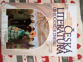 Česká literatura od počátků k dnešku - 2