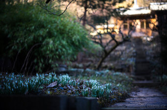 Celoročně obyvatelná chata Brno-Jundrov - 2