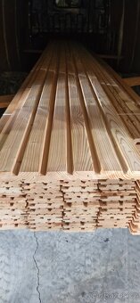 Rhombus sibiřský modřín - 2