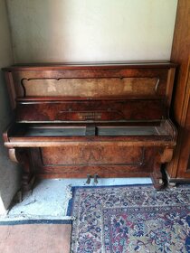 Korpus piana - 2
