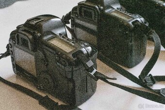 CANON 5D - 2