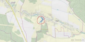 Prodám lesní pozemek v k.ú. Bukovina u Čisté - 2