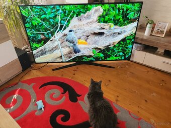 Obří televize 165cm JVC 4K smart - 2