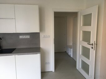 Pronájem krásného bytu 2+1 (55 m²) na Dukle – u parku a MHD - 2